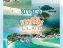 ขายที่ดิน - ขายด่วน! ที่ดินเกาะเต่า 1-3-52 ไร่ ไฟฟ้า+น้ำผ่านหน้าแปลงที่ดิน ใกล้ Fasai Thaifood, Paramee Motorbike For Rent