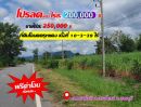 ขายที่ดิน - ขายที่ดินติดถนนลาดยาง เนื้อที่ 10 -3 -39 ไร่. บ้านมหาโพธิ สระโบสถ์ ลพบุรี