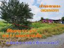 ขายที่ดิน - ขาย ที่ดิน จัดสรร ชัยบาดาล ลพบุรี 100 ตร.วา ที่ดินแปลงสวย Land for SALE in Lopburi