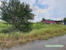 ขายที่ดิน - ขาย ที่ดิน จัดสรร ชัยบาดาล ลพบุรี 100 ตร.วา ที่ดินแปลงสวย Land for SALE in Lopburi