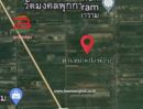 ขายที่ดิน - ที่ดินเปล่า คลองสี่ตะวันตก 31 (คลองหลวง) เนื้อที่ 4 ไร่ ใกล้วัดปัญญานันทาราม, วัดมงคลนุถการาม ถนนพหลโยธิน ตำบลคลองสี่ อำเภอคลองหลวง จังหวัดปทุมธานี