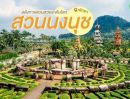 ขายที่ดิน - ที่ดินเปล่า 28 ไร่ ทำเลทอง ซอยนาจอมเทียน 52 ถนนสุขุมวิท ตำบลนาจอมเทียน อำเภอสัตหีบ ชลบุรี