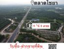 ขายที่ดิน - ขายที่ดินหน้าติดถนนหมายเลข 4011 ไชยา-พุมเรียง อ.ไชยา จ.สุราษฎร์ธานี ด้านหลังติดคลอง