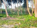 ขายที่ดิน - ขายที่ดินติดทะเล เกาะสมุย / beachfront land for sale koh samui