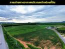 ขายที่ดิน - ขายที่ดินหนองเสือช้าง แปลงสวย ทำเลทอง เขตEEC นิคมอุตสาหกรรม FP-L0375