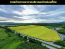 ขายที่ดิน - ขายที่ดินหนองเสือช้าง แปลงสวย ทำเลทอง เขตEEC นิคมอุตสาหกรรม FP-L0375