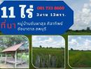 ขายที่ดิน - ขายที่นา 11ไร่ 3งาน 13ตารางวา (เจ้าของ ขอเกษียณ ไม่มีเวลา ดูแล)