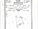 ขายที่ดิน - Land for sale Chaiyaphum ขายที่ดินชัยภูมิ มี 2 แปลง สามารถถมดิน ทำบ้าน ทำธุรกิจค้าขายได้