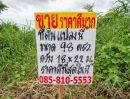 ขายที่ดิน - ขายที่ดินหมู่บ้านรวมเก้า 98 ตรว. ถนนพุทธมณฑลสาย 2 ซอย 11 บางไผ่ บางแค ถนนเพชรเกษม ขายราคาดีที่สุดในโครงการ