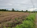 ขายที่ดิน - ขายที่สวนลำใย 110 ต้นบ้านแม่ก๋าสันป่าตองโฉนดพร้อมโอน