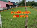 ขายที่ดิน - ขายที่ดินเปล่าติดถนนใหญ่ 190 ตร.วา ต.ศรีสว่าง อ.นาโพธิ์ จ.บุรีรัมย์