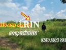 ขายที่ดิน - ขายที่ดิน ถมแล้ว 319 ตรว. คลอง 8 ตะวันออก ต.บึงชำอ้อ อ.หนองเสือ จ.ปทุมธานี