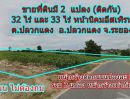 ขายที่ดิน - ขายที่ดิน อ.ปลวกแดง ระยอง หน้านิคมฯอีสเทอร์น มี 2 แปลงติดกัน 32.39 ไร่ และ 33.49 ไร่