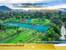 ขายที่ดิน - ขายที่ดิน ติดแม่น้ำเพชรบุรี โฉนดนส.4จ ในเขตเทศบาลท่ายาง น้ำไฟพร้อม น้ำไม่ท่วม ฮวงจุ้ยท้องมังกร