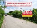 ขายที่ดิน - ขายที่ดินสวย แปลงมุม 201 ตรว. ระหว่างซอยเพชรเกษม 79-81 ราคาดีมากๆ ที่ดินเข้าจากถนนเพชรเกษม เพียง 700 เมตร เท่านั้น ทำเลดีมากๆ