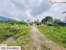 ขายที่ดิน - ที่ดินบางใหญ่ 388 ตร.ว. นนทบุรี ใกล้วัดหลังบาง