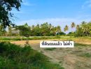 ขายที่ดิน - ขายที่ดินใกล้ทะเล เนื้อที่ 6-3-27 ไร่ ต.หนองจอก ท่ายาง เพชรบุรี