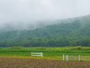 ขายที่ดิน - ขายที่ดิน พุหวายวิว เริ่มต้น 1 ไร่ ชะอำ เพชรบุรี