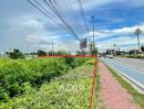 ขายที่ดิน - ขายที่ดินถนนคันคลอง ใกล้สี่แยกราชพฤกษ์เชียงใหม่ แปลงมุมถนน