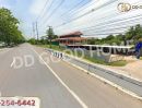 ขายที่ดิน - ที่ดินเขาย้อย 69 ตร.ว. เพชรบุรี ใกล้พิพิธภัณฑ์ปานถนอม