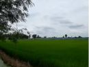 ขายที่ดิน - ขาย ที่ดิน ตำบลห้วยม่วง อำเภอกำแพงแสน จังหวัดนครปฐม