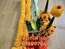 ขายที่ดิน - ชุดยกเสาเอก - ชุดยกเสาโท พุทธมนฑลสาย3ซอย2 ก.ท.ม.