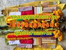 ขายที่ดิน - ชุดลงหลุมเสาเอก-เสาโท บริการยกเสาเอกเสาโท ถนนพุทธมณฑทสาย3ซอย2 ก.ท.ม.