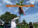 ขายที่ดิน - ชุดลงหลุมเสาเอก-เสาโท บริการยกเสาเอกเสาโท ถนนพุทธมณฑทสาย3ซอย2 ก.ท.ม.