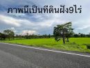 ขายที่ดิน - ขายที่ดินติดถนนดำพิกัด บ้านผือบ้านแสงไผ่ อ ม่วงสามสิบ จ.อุบล