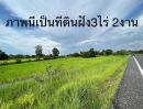 ขายที่ดิน - ขายที่ดินติดถนนดำพิกัด บ้านผือบ้านแสงไผ่ อ ม่วงสามสิบ จ.อุบล