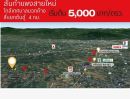 ขายที่ดิน - ขายที่ดินจัดสรร 155ตรว. 980,000บาท ฟรีโอน สาธารณูปโภคครบ ต.บวกค้าง อ.สันกำแพง เชียงใหม่