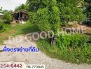 ขายที่ดิน - ที่ดินเมืองพิษณุโลก 3 ไร่ 183.6 ตร.ว. ใกล้ อบต.วังน้ำคู้