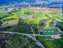 ขายที่ดิน - ขายที่ดินติดถนนใหญ่ กลัดหลวง 9 ไร่ จ.เพชรบุรี