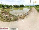 ขายที่ดิน - ที่ดินแม่จัน 8 ไร่ 129.7 ตร.ว. เชียงราย ใกล้ไร่ชาฉุยฟง