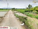 ขายที่ดิน - ที่ดินแม่จัน 8 ไร่ 129.7 ตร.ว. เชียงราย ใกล้ไร่ชาฉุยฟง