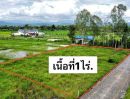 ขายที่ดิน - ขายที่ดิน245ตรว.-1ไร่ เริ่ม1.1ลบ. ฟรีโอน วิวพระธาตุดอยสะเก็ด น้ำ ไฟฟ้า ถนน บ.ดอกแดง ต.สง่าบ้าน อ.ดอยสะเก็ด เชียงใหม่