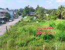 ขายที่ดิน - ขายที่ดินแปลงสี่เหลี่ยม สวย 183.3 ตร.ว ใกล้เพื่อนบ้าน อ.สันป่าตอง เชียงใหม่