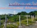 ขายที่ดิน - ขายที่ดิน ใกล้ทะเล ชลบุรี เพียง 175 เมตร ที่ดินแปลงนี้ ขนาด 71 ตรว.