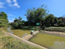 ขายที่ดิน - ขายสวนทุเรียนโฉนด น้ำไฟพร้อม อำเภอมะขาม จันทบุรี