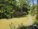 ขายที่ดิน - ขายสวนทุเรียนโฉนด น้ำไฟพร้อม อำเภอมะขาม จันทบุรี