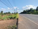 ขายที่ดิน - ที่ดินเมืองนครราชสีมา 115 ไร่ ต.ทุ่งอรุณ อ.โชคชัย จ.นครราชสีมา ติดถนน ทล.224 ราชสีมา-โชคชัย