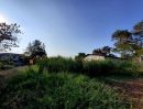 ขายที่ดิน - ขายที่ดินเท่าราคาประเมินอำเภอเมืองปทุมธานีซอยพูนศรี