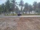 ขายที่ดิน - ขายที่ดิน 148 ตรว. ใกล้หาดขนอม 300ม. ใกล้โรงแรมและรีสอร์ทหลายแห่ง ถนนลาดยาง อำเภอขนอม นครศรีธรรมราช