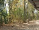 ขายที่ดิน - ขายที่ดินเขาใหญ่ วิวเขาล้อมรอบ ใกล้สวนผักลุงฤทธิ์-ผักสลัดปลอดสาร เพียง 1 กม.