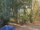 ขายที่ดิน - ขายที่ดินเขาใหญ่ วิวเขาล้อมรอบ ใกล้สวนผักลุงฤทธิ์-ผักสลัดปลอดสาร เพียง 1 กม.
