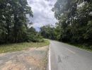 ขายที่ดิน - ขาย ที่ดินสวยแม่ริม ใกล้น้ำตกแม่สา ทางขึ้นม่อนแจ่ม ไม่ไกลจากตัวเมือง เดินทางสะดวก