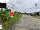 ให้เช่าที่ดิน - ปล่อยเช่าที่ดิน เนื้อที่ประมาณ 4 ไร่ ถ.ขวาง ต.วิชิต