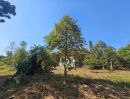 ขายที่ดิน - ขายสวนผสมพร้อมบ้านพัก บ้านเนินกลาง ทุ่งเบญจา อำเภอท่าใหม่ จันทบุรี
