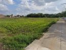 ขายที่ดิน - ขายที่ดินบ้านปางลาว บ้านดู่ ประมาณ 4 ไร่ เนื้อที่แบ่งขาย