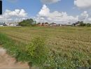 ขายที่ดิน - ขายที่ดินบ้านปางลาว บ้านดู่ ประมาณ 4 ไร่ เนื้อที่แบ่งขาย